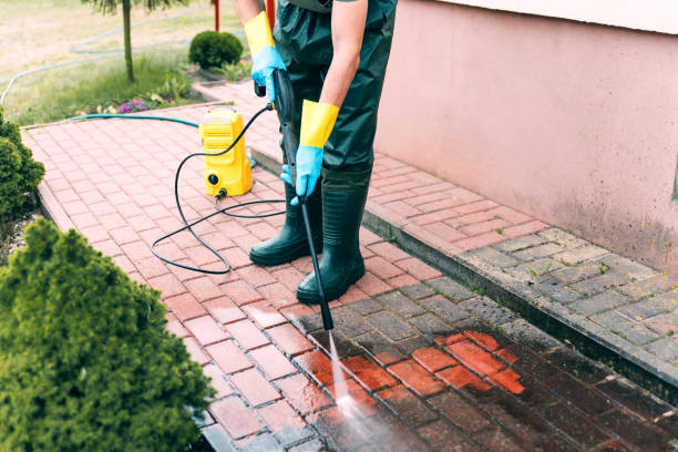 Best Affordable Power Washing  in Inkster, MI