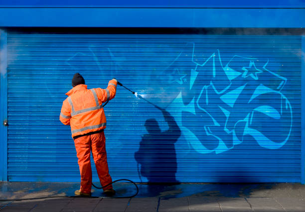 Best Garage Pressure Washing  in Inkster, MI