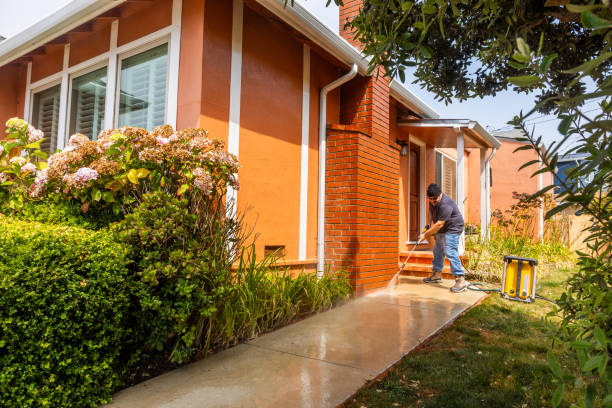 Best Affordable Pressure Washing  in Inkster, MI